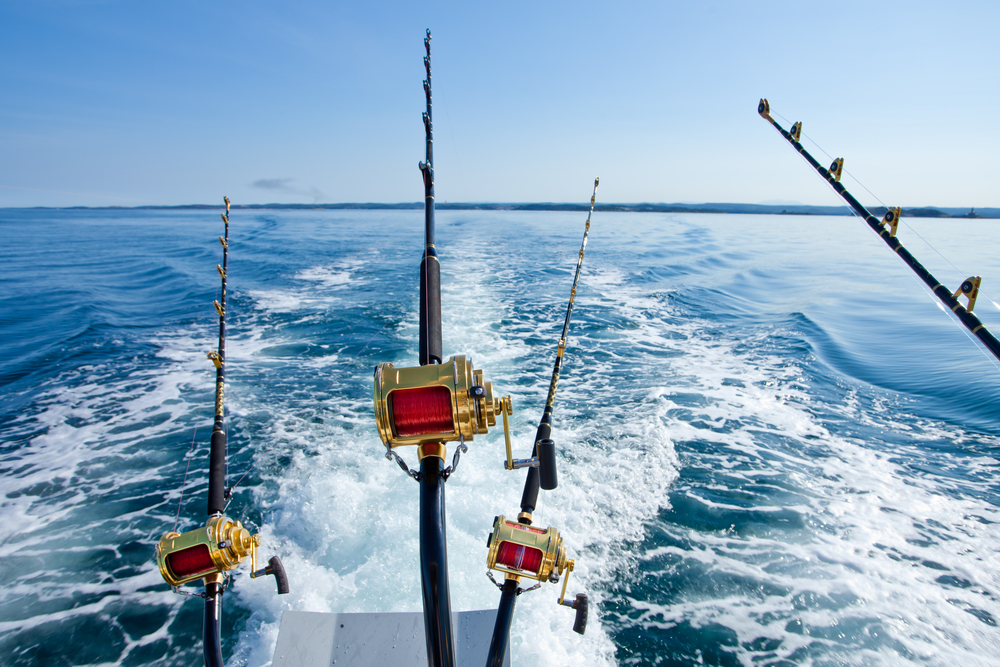 Featured Content: Top 7 Global Spots For A Deep-Sea Fishing Yacht Charter